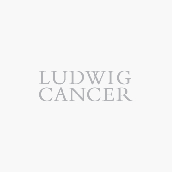 Ludwig Cancer